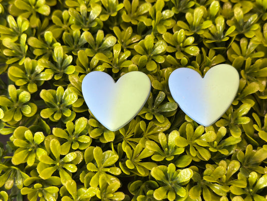 Light Blue & Green  Heart Flat Back